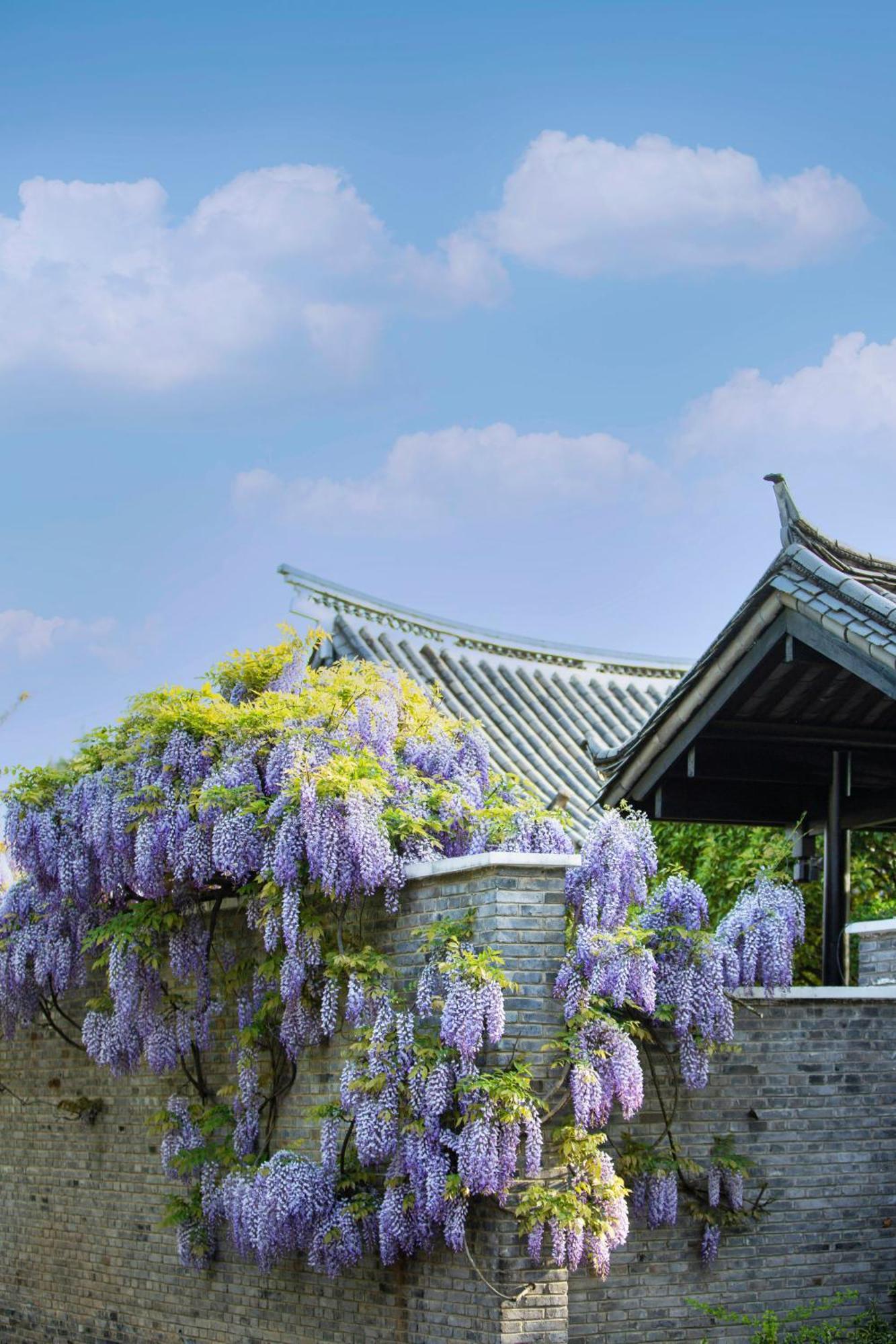 Отель Banyan Tree Lijiang Лицзян Экстерьер фото